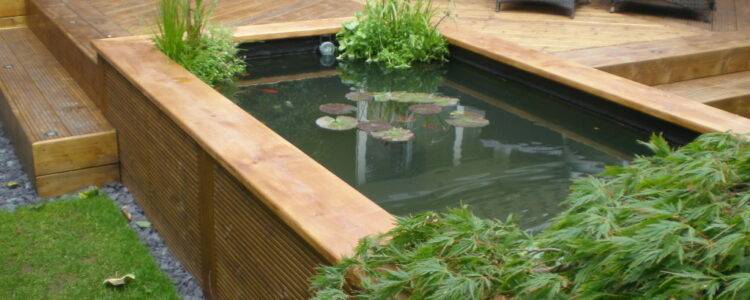vijverbak bovengronds